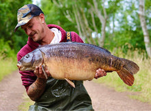 Load image into Gallery viewer, Wear Kraken 330gsm Heavyweight Hoodie