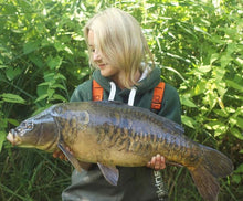 Load image into Gallery viewer, Wear Kraken 330gsm Heavyweight Hoodie